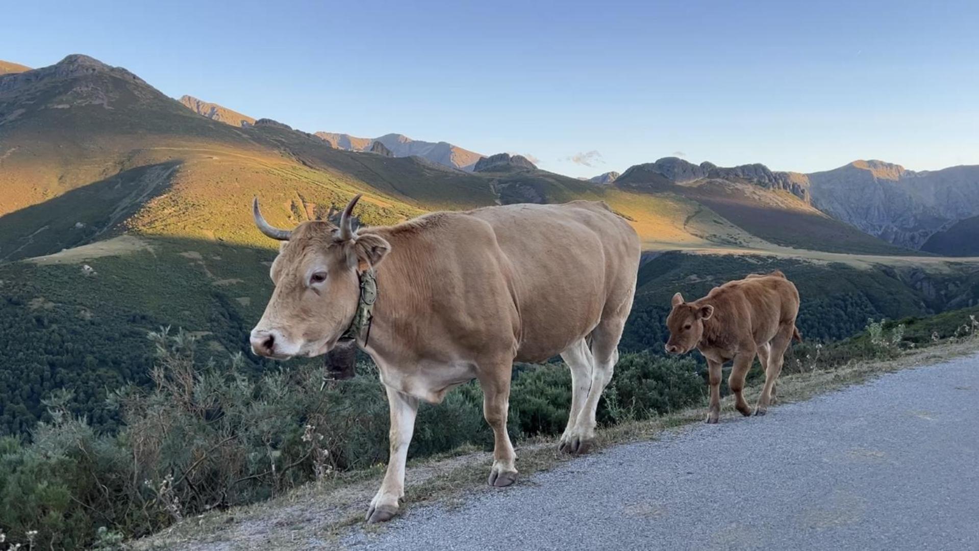 Posada la Trebede Perrozo Bagian luar foto